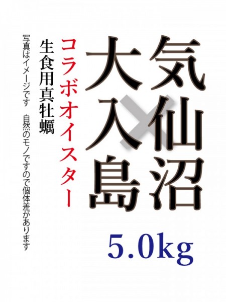 【気仙沼×大入島】 コラボオイスター 約5.0kg 50個程度入 生食用真牡蠣