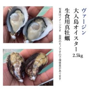 大入島オイスター"ヴァージン" 約2.5kg 50個程度入 生食用真牡蠣