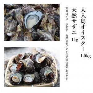 大入島オイスター 生食用 1.5kg & 天然サザエ1kg 詰合せ