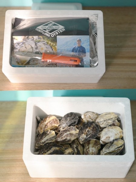 大入島オイスター 約1.0kg【令和5年2月発送開始】 10~15個程度入 生食用真牡蠣