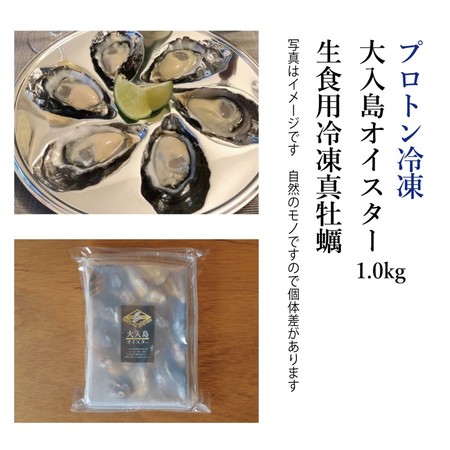 生でツルっと! プロトン凍結 大入島オイスター 生食用冷凍真牡蠣 (20個入×1パック)