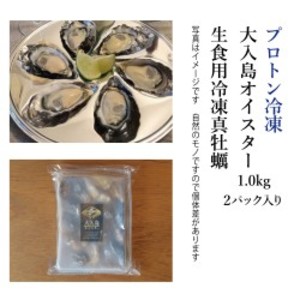 生でツルっと! プロトン凍結 大入島オイスター 生食用冷凍真牡蠣 (20個入×2パック)