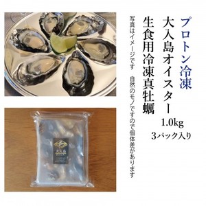 生でツルっと! プロトン凍結 大入島オイスター 生食用冷凍真牡蠣 (20個入×3パック)