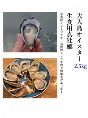 大入島オイスター 約2.5kg 50個程度入 生食用真牡蠣