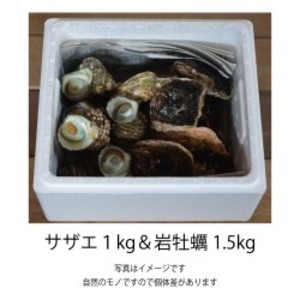 サザエ1kg & 岩牡蠣1.5kg セット