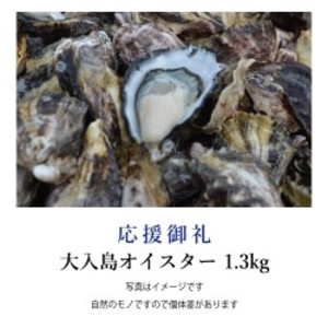 【応援御礼】 大入島オイスター 生食用 1.3kg(50~60g×25個程度入り)
