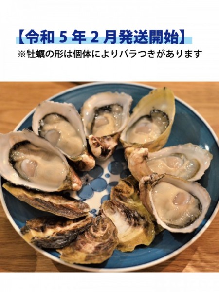 大入島オイスター 約5.0kg【令和5年2月発送開始】 60～80個程度入 生食用真牡蠣